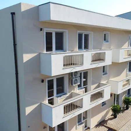 Pensiunea Sasha 招待所