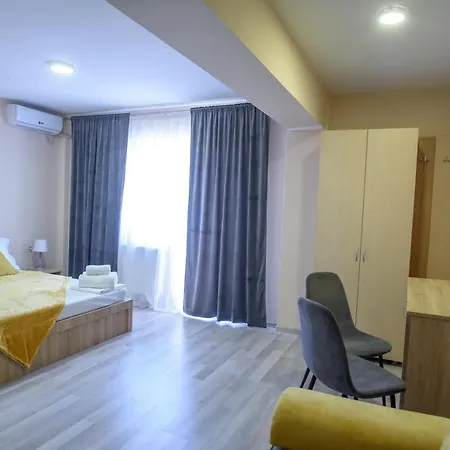 Pensiunea Sasha 3* 艾福雷诺德