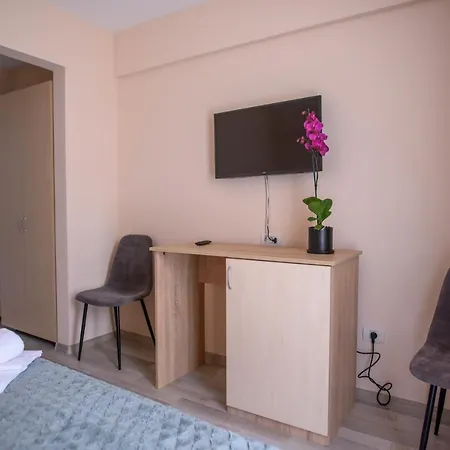 Pensiunea Sasha 招待所 艾福雷诺德