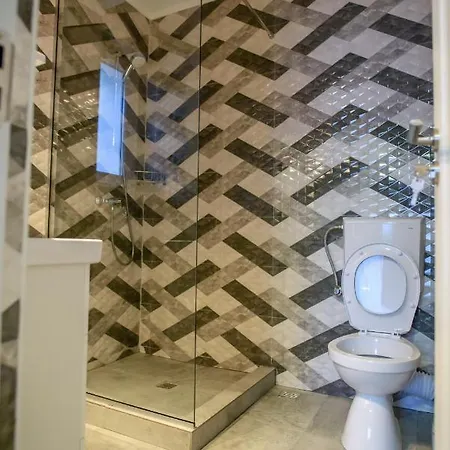 Pensiunea Sasha 招待所 3*