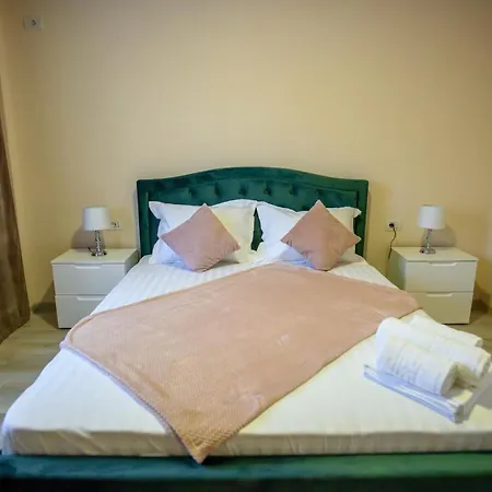 Pensiunea Sasha 3* 艾福雷诺德