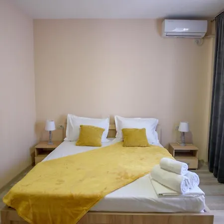 Pensiunea Sasha 招待所 艾福雷诺德