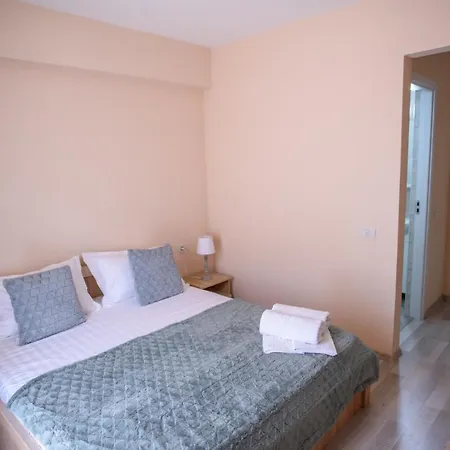 Pensiunea Sasha 招待所 艾福雷诺德