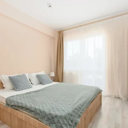 Pensiunea Sasha 招待所 艾福雷诺德