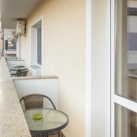 Pensiunea Sasha 招待所