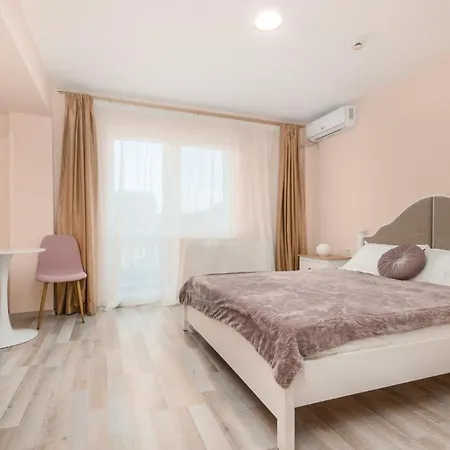 招待所 Pensiunea Sasha 3*