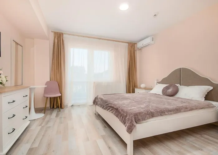 Pensionat Pensiunea Sasha 3*